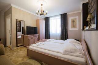 Гостевой дом Vila Sibiu Сибиу Улучшенный двухместный номер с 1 кроватью-3